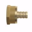 Picture of 1/2" F1807 x 3/4" FIP Brass PEX Adapter, Bag of 25