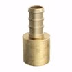 Picture of 1/2" F1807 Brass PEX Male Sweat Adapter, Bag of 100