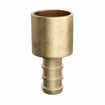 Picture of 1/2" F1807 Brass PEX Male Sweat Adapter, Bag of 100