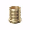 Picture of 1/2" F1807 Brass PEX Plug, Bag of 100