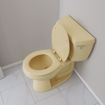 Picture of Citron Yellow Deluxe Molded Wood Toilet Seat, Closed Front with Cover, Round