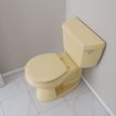 Picture of Citron Yellow Deluxe Molded Wood Toilet Seat, Closed Front with Cover, Round