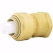 Picture of 1/2" x 1/2" FPT PlumBite® Push On Adapter, Bag of 1