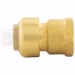 Picture of 1" x 1" FPT PlumBite® Push On Adapter, Bag of 1