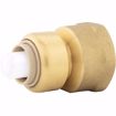 Picture of 1/2" x 3/4" FPT PlumBite® Push On Reducing Adapter, Bag of 1