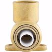 Picture of 3/4" FPT PlumBite® Push On Drop Ear 90° Elbow, Bag of 1