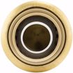 Picture of 3/4" PlumBite® Push On Cap, Bag of 1