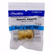 Picture of 3/4" x 3/4" FPT PlumBite® Push On Adapter, Bag of 1