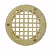 Picture of 2" Heavy Duty PVC Drain Base with 3-1/2" Metal Spud and 5" Polished Brass Strainer