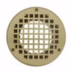 Picture of 3-1/2" IPS Metal Spud with 6" Polished Brass Round Strainer