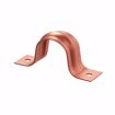 Picture of 1/2" CTS Pipe Strap, Two-Hole, Copper Clad, Carton of 100