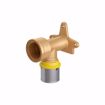 Picture of 20 mm (1/2" eq.) x 1/2" FPT PEXALGAS® Drop Ear 90° Elbow