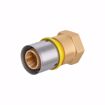 Picture of 16 mm (3/8" eq.) x 1/2" FPT PEXALGAS® Adapter