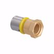 Picture of 16 mm (3/8" eq.) x 1/2" FPT PEXALGAS® Adapter