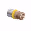 Picture of 16 mm (3/8" eq.) x 1/2" MPT PEXALGAS® Adapter