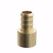 Picture of 1/2" F1807 x 3/4" Female Brass PEX Sweat Adapter, Bag of 50