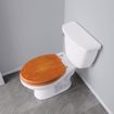 Picture of Oak Designer Wood Toilet Seat, Closed Front with Cover, Brushed Nickel Hinges, Elongated