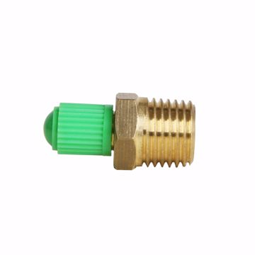 Picture of 1/4" Schrader Valve with Cap