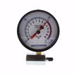 Picture of 4" 15 psi Dual Scale Gas Test Gauge Assembly