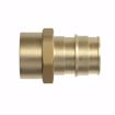 Picture of 3/4" F1960 x FIP Brass PEX Adapter, Bag of 25