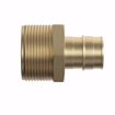 Picture of 3/4" F1960 x 1" MIP Brass PEX Adapter, Bag of 10