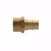 Picture of 3/4" F1960 x MIP Brass PEX Adapter, Bag of 25