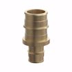 Picture of 1/2" x 3/4" F1960 Brass PEX Coupling, Bag of 25