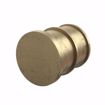 Picture of 3/4" F1960 Brass PEX Plug, Bag of 25