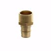 Picture of 1" F1960 x MIP Brass PEX Adapter, Bag of 10