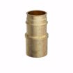 Picture of 3/4" F1960 x 1" Male Brass PEX Sweat Adapter, Bag of 10