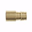 Picture of 1/2" F1960 x 3/4" Female Brass PEX Sweat Adapter, Bag of 25