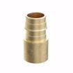 Picture of 1/2" F1960 x 3/4" Female Brass PEX Sweat Adapter, Bag of 25